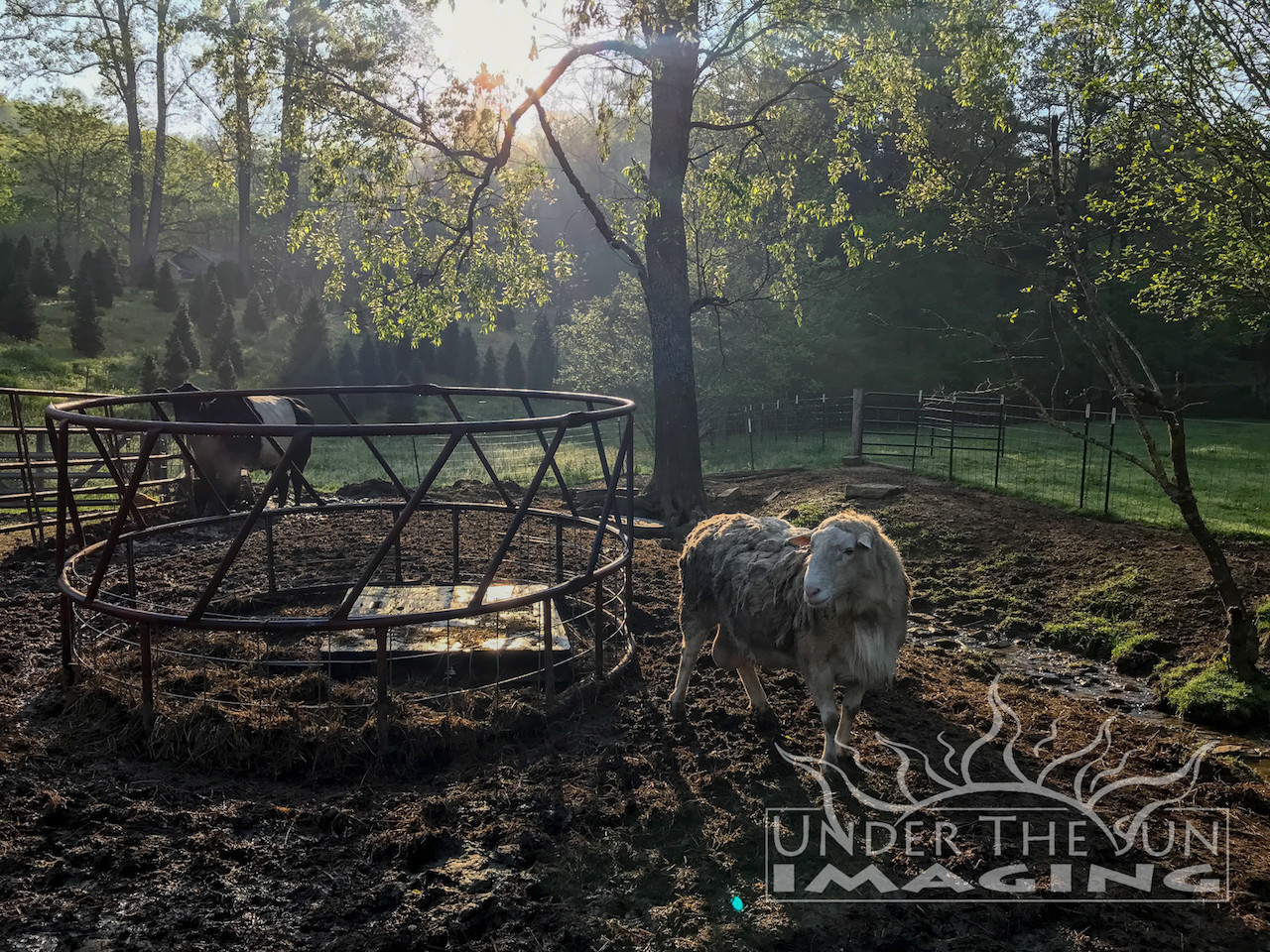 Farm