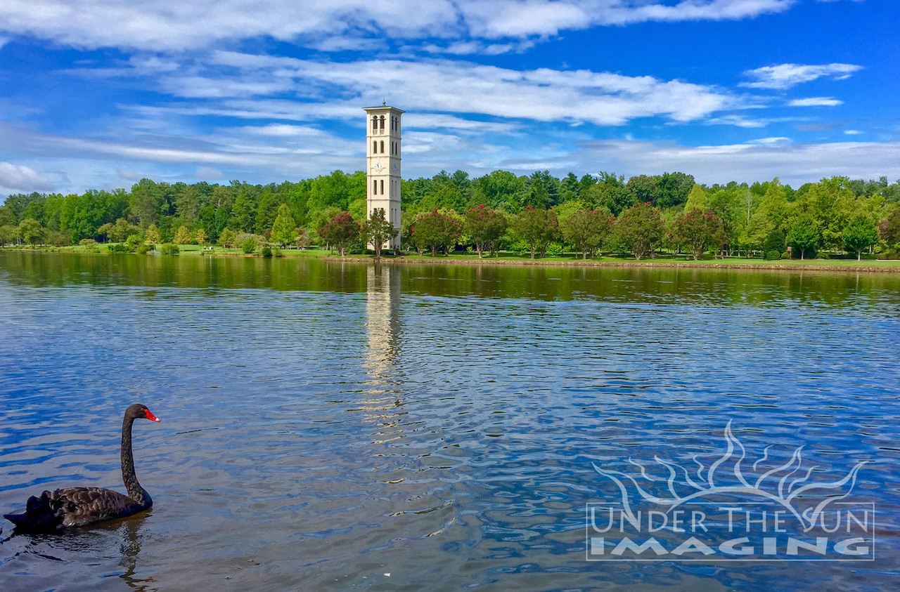 Furman