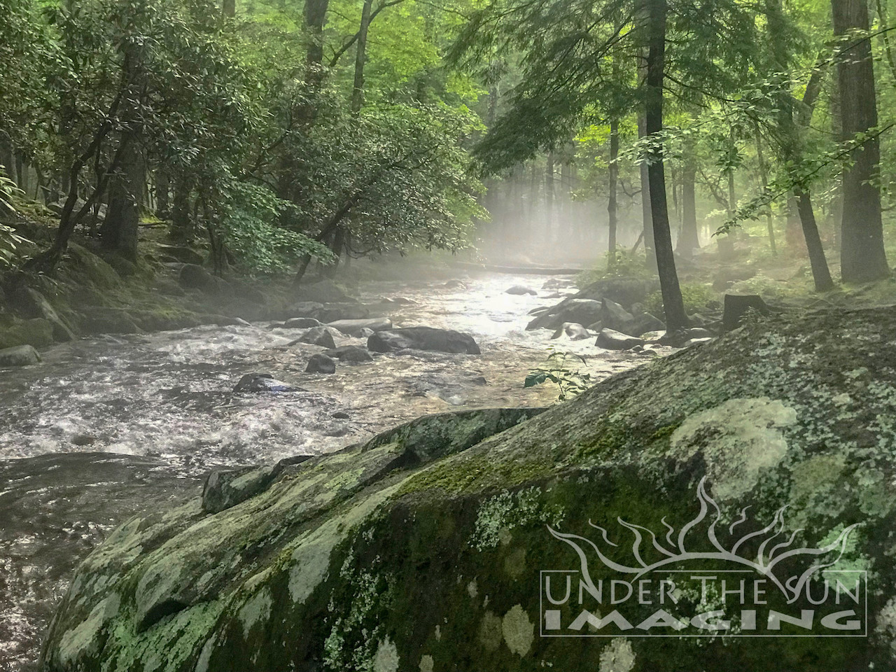 Water Mist